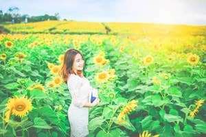 Đà Lạt - Duyên hay Tình đã giữ chân tôi...