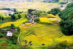 Những đặc sản vùng cao mà nhiều người không dám thử.