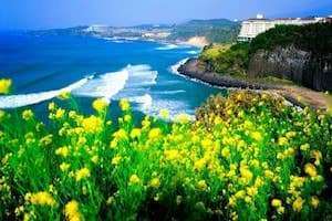 Những điều cần lưu ý khi du lịch đảo Jeju - Hàn Quốc.
