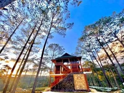 Những địa điểm du lịch sinh Đà Lạt độc đáo ít người biết đến