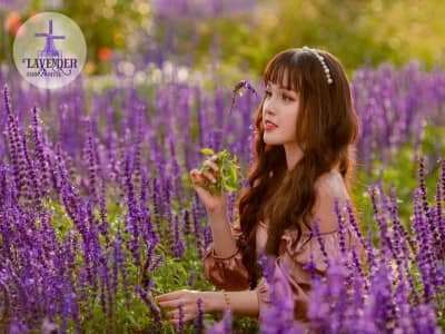 Lavender Farm&Coffee - 'tiểu Châu Âu' đậm sắc tím của Đà Lạt