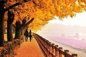 Du khách Đà Lạt thăm đảo Jeju, Hàn Quốc không cần visa