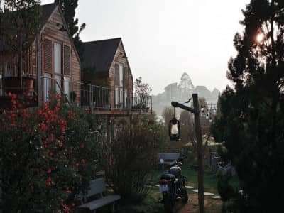IN THE PINES-Khu vườn Châu Âu tưởng lạ mà quen ở Đà Lạt