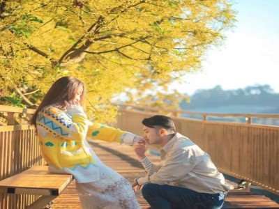 Đà Lạt đẹp lịm tim với con đường Hàn Quốc