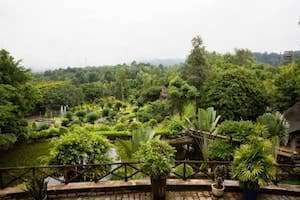 THỬ THÁCH VỚI RỪNG TẠI MADAGUI