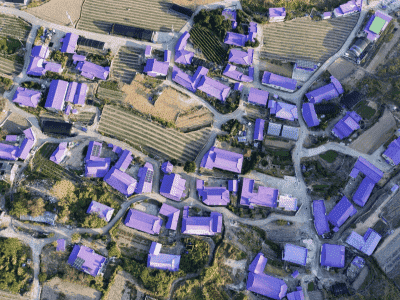 Thiên Đường Của Các Tín Đồ Màu Tím Tại Hàn Quốc