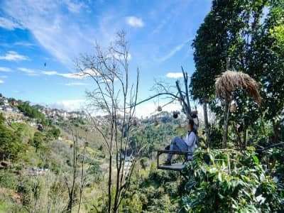 Loạt Homestay bước ra từ tiểu thuyết ở Đà Lạt