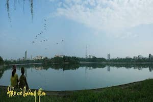 Độc đáo đảo cò đẹp ít người biết giữa thành phố Hưng Yên.