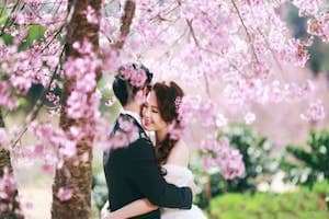 Muôn hoa khoe sắc đón xuân ở Đà Lạt