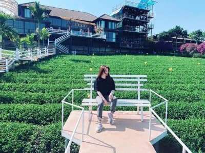 Ốc đảo trà xanh đẹp như thiên đường mới ở Đà Lạt