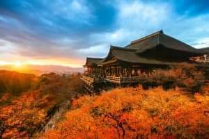 Những cung đường lá đổi màu vàng ươm tuyệt đẹp ở Seoul
