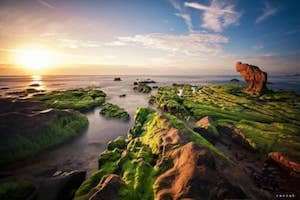 Mùa rêu đá đẹp đến nghẹt thở ở Cổ Thạch
