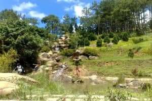 Thung lũng vàng Đà Lạt – Vẻ đẹp không góc chết