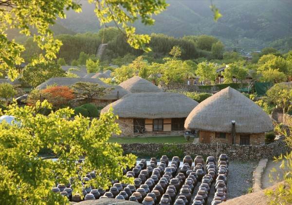 TOUR  ĐÀ LẠT - HÀN QUỐC BAY THẲNG TỪ LIÊN KHƯƠNG(Miễn Visa)