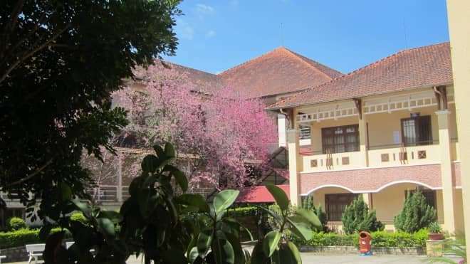 Cận cảnh ngôi trường lãng mạn nhất Việt Nam Cận cảnh ngôi trường lãng mạn nhất Việt Nam
