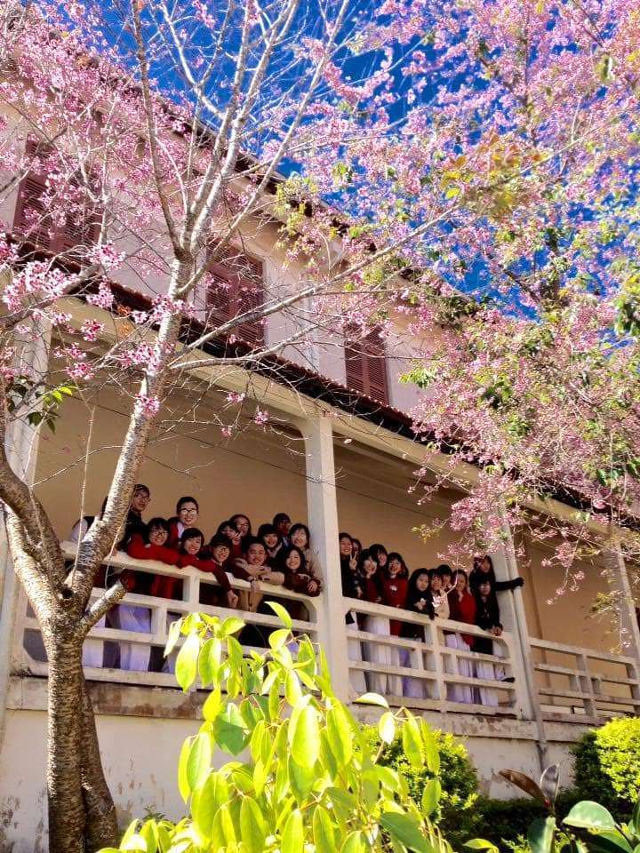 Cận cảnh ngôi trường lãng mạn nhất Việt Nam Cận cảnh ngôi trường lãng mạn nhất Việt Nam