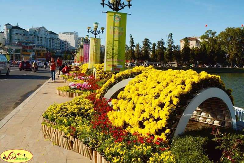 Festival Hoa Đà Lạt Festival Hoa Đà Lạt