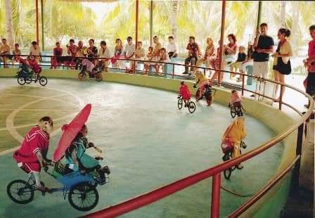 Những hòn đảo khỉ không thể bỏ qua khi đi du lịch năm Thân Những hòn đảo khỉ không thể bỏ qua khi đi du lịch năm Thân