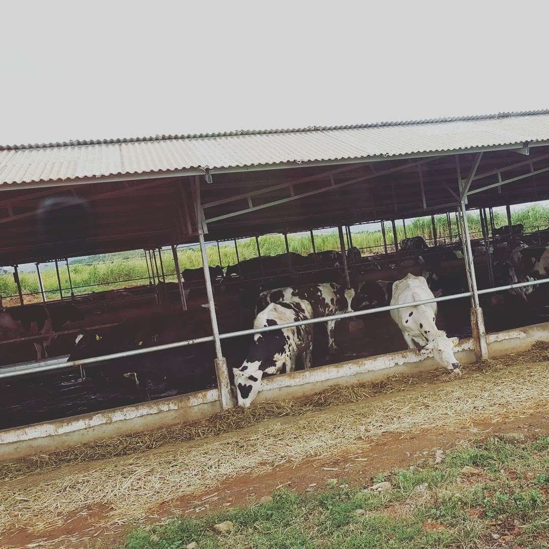 đạp xe địa h&igrave;nh tại Đ&agrave; Lạt