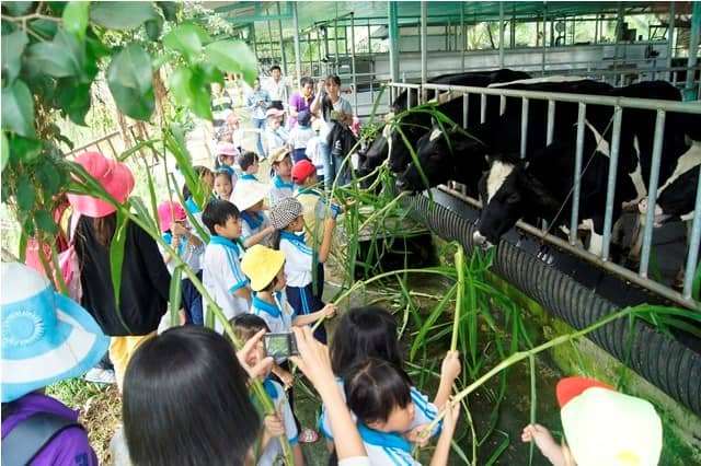 đu d&acirc;y vượt th&aacute;c tại Đ&agrave; Lạt