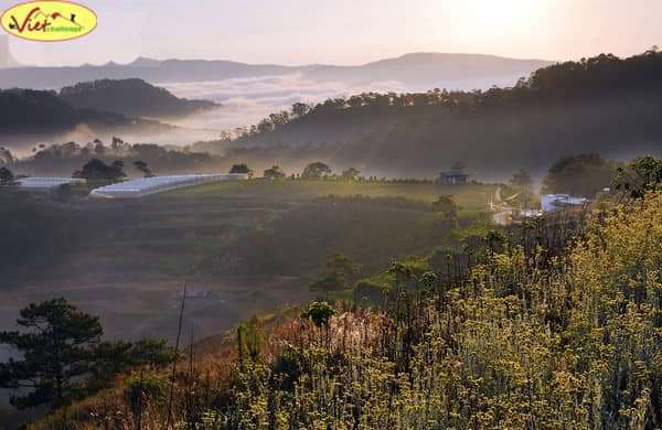 du lịch Đ&agrave; Lạt