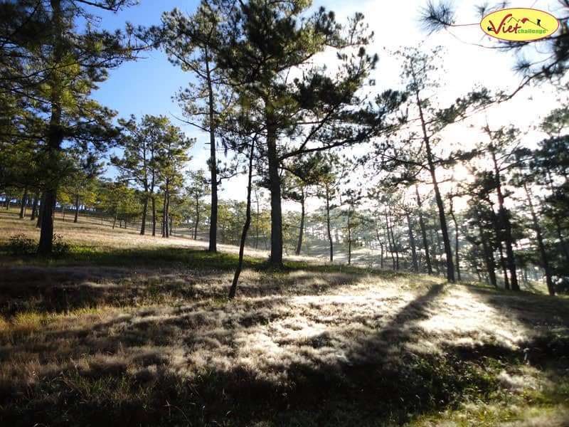 du lịch Đ&agrave; Lạt