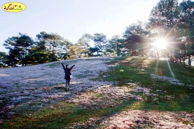 du lịch Đ&agrave; Lạt