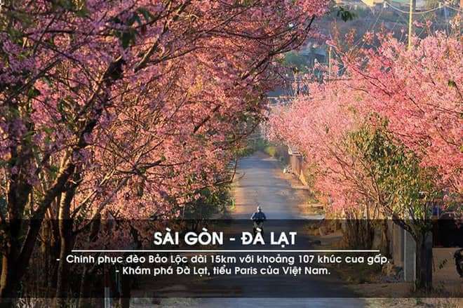 Cuồng chân trên những cung đường phượt đẹp nhất Việt Nam Cuồng chân trên những cung đường phượt đẹp nhất Việt Nam