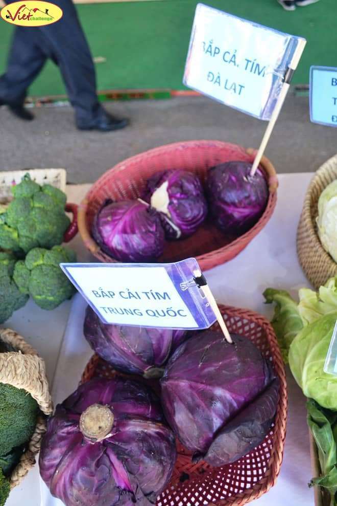 Rau quả Đ&agrave; Lạt